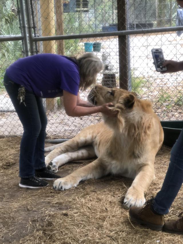 Christin With Lion
